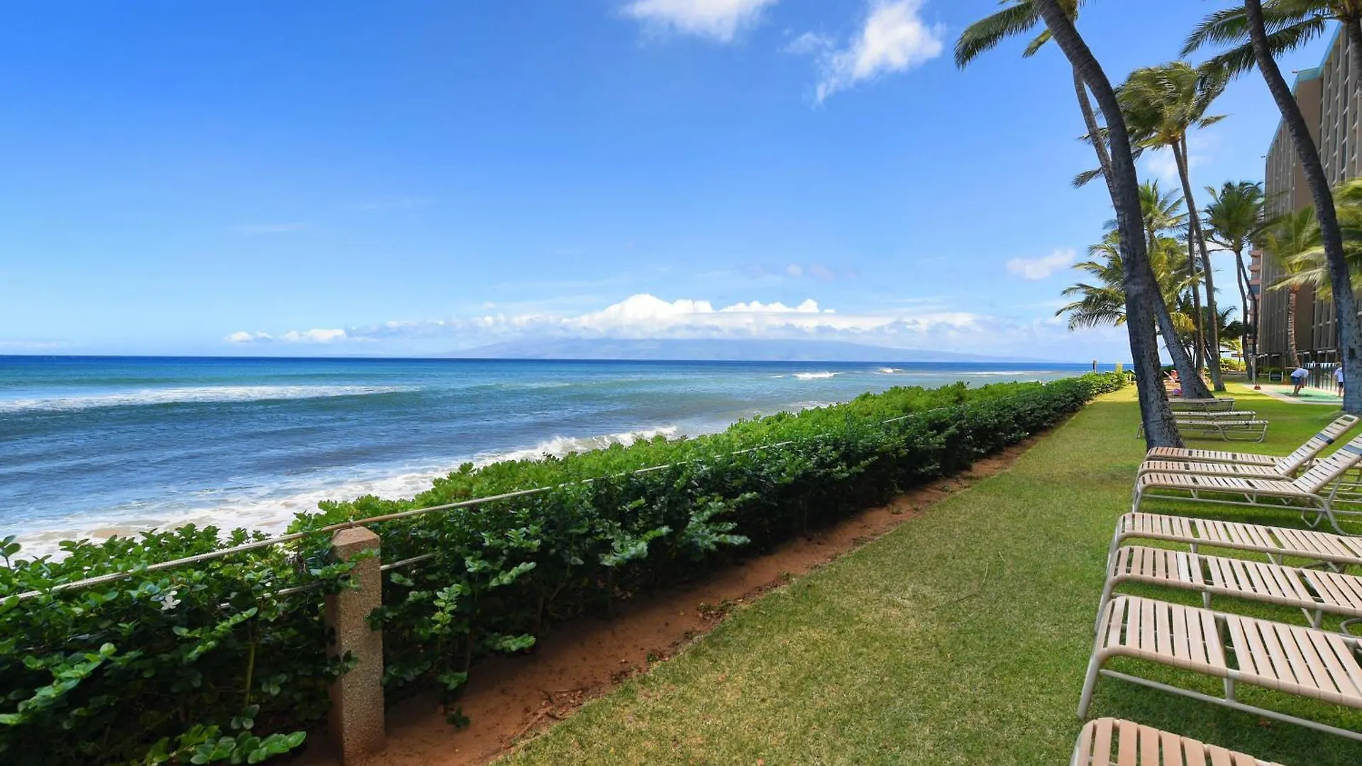 Mahana 501 Kahana